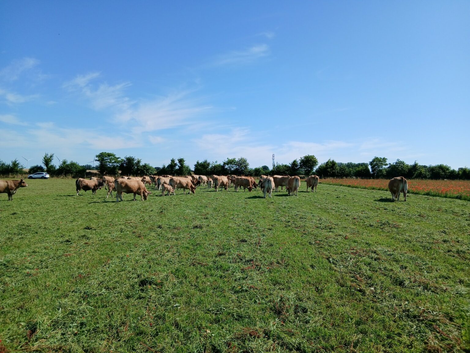 Le territoire