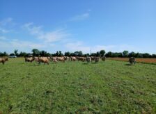 Le territoire
